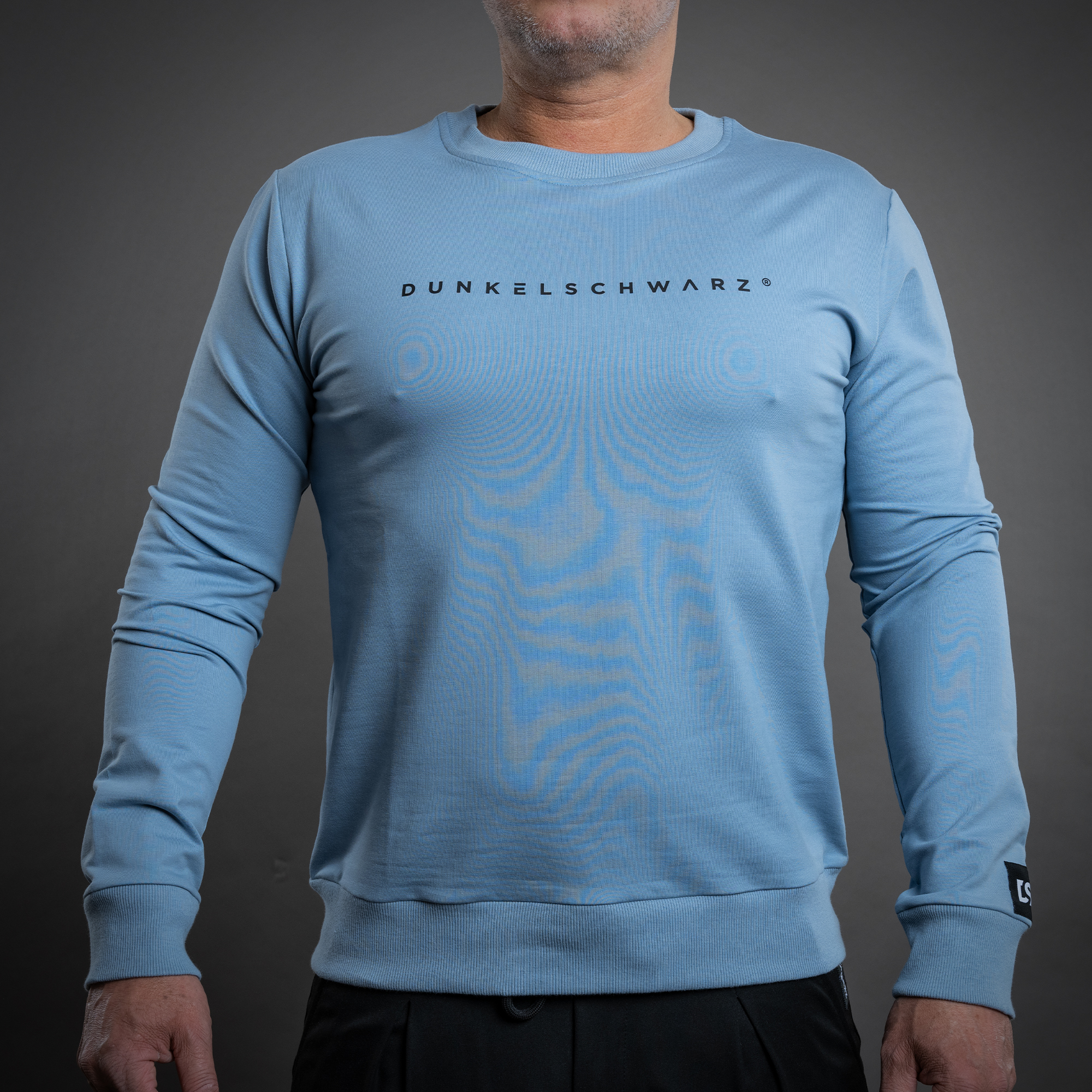 Sweatshirt DS-5 LOGO lightblue