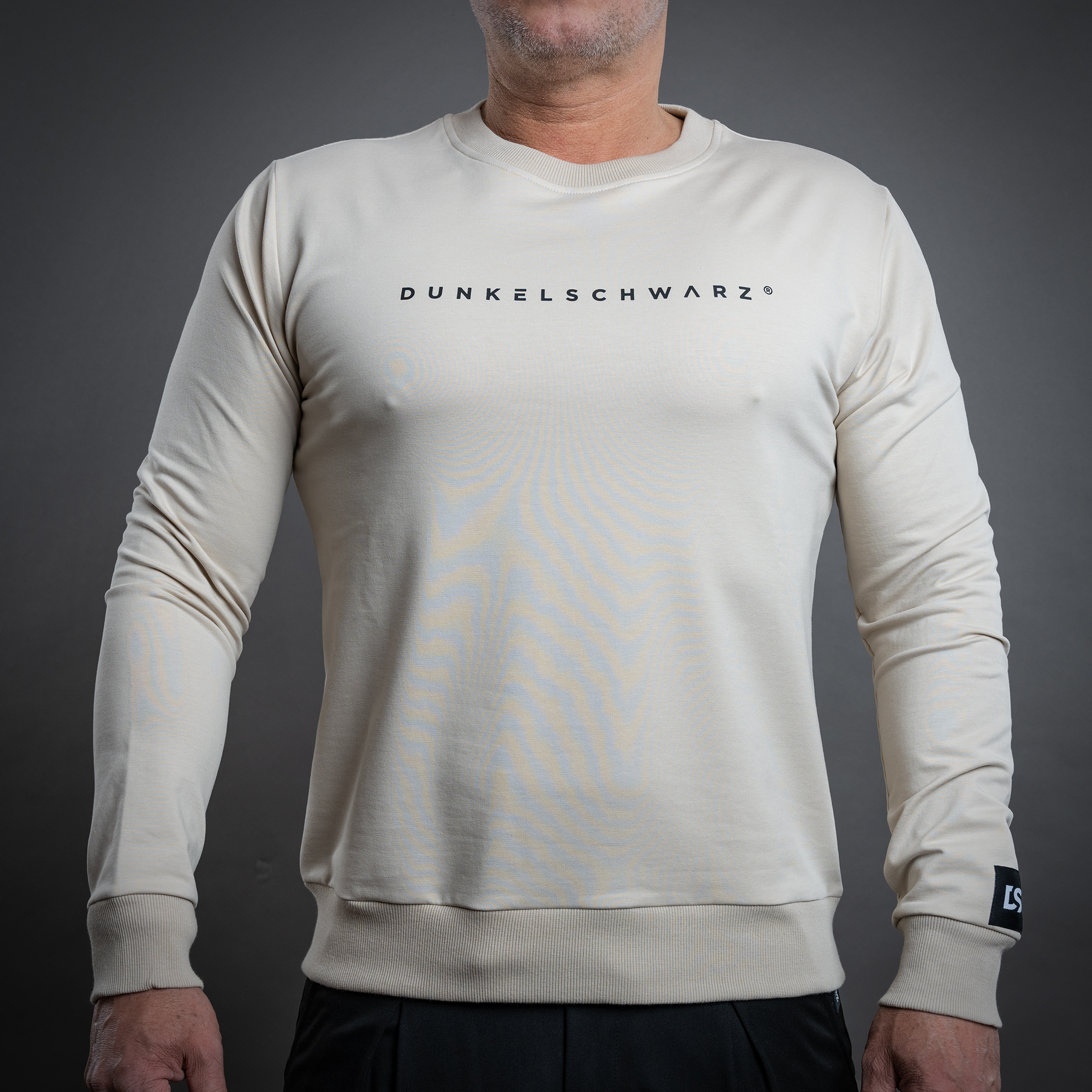 Sweatshirt DS-5 LOGO sand